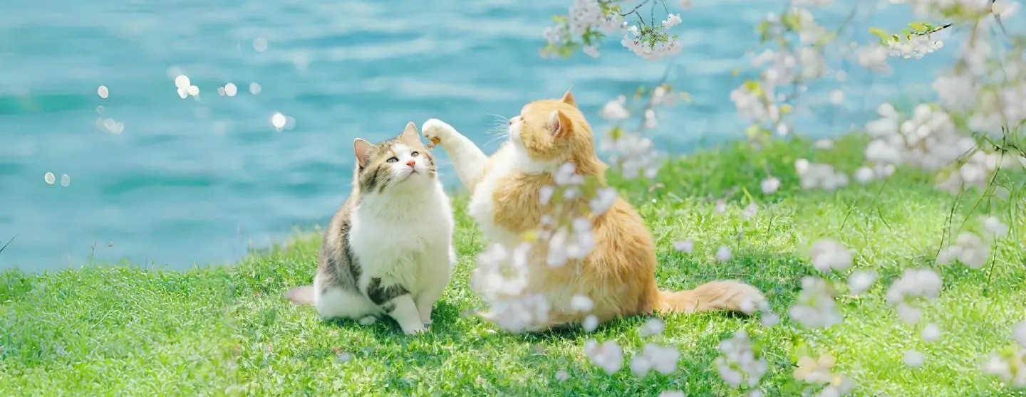 树洞——夜的第三章